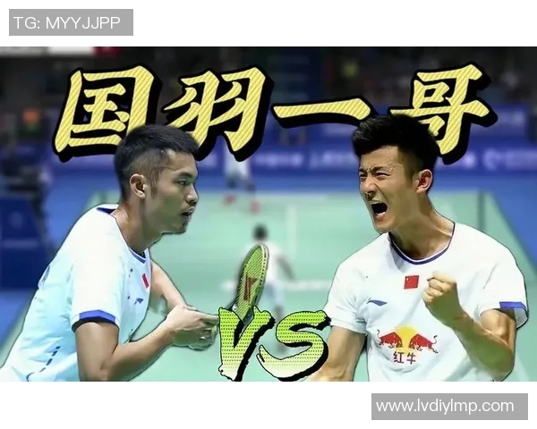 林丹与谌龙2014年巅峰对决揭示羽毛球世界的荣耀与挑战